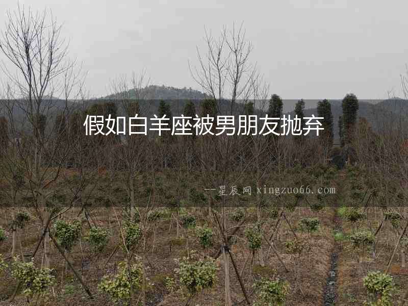 假如白羊座被男朋友拋棄