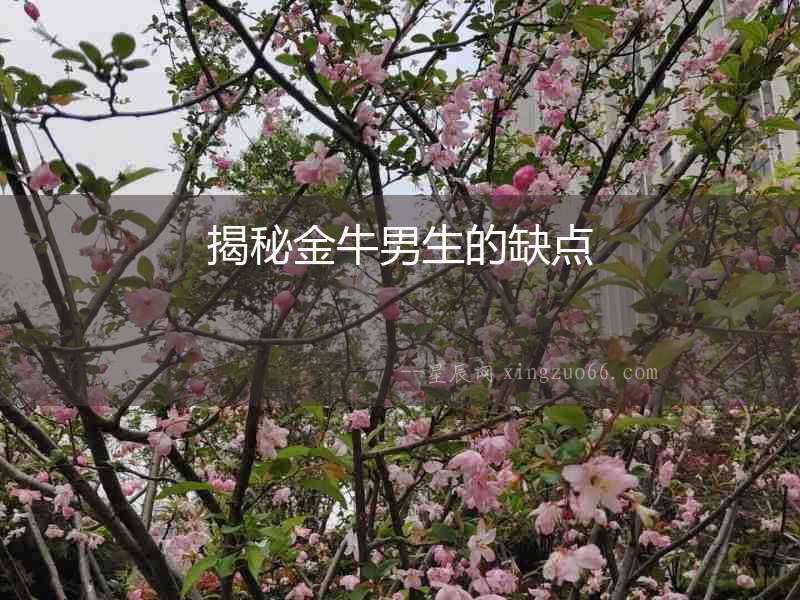揭秘金牛男生的缺點