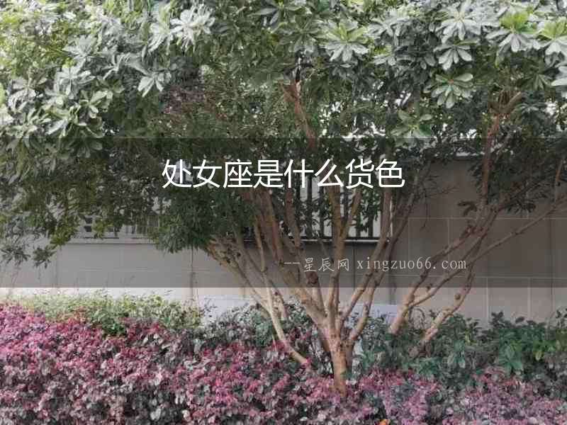 處女座是什么貨色
