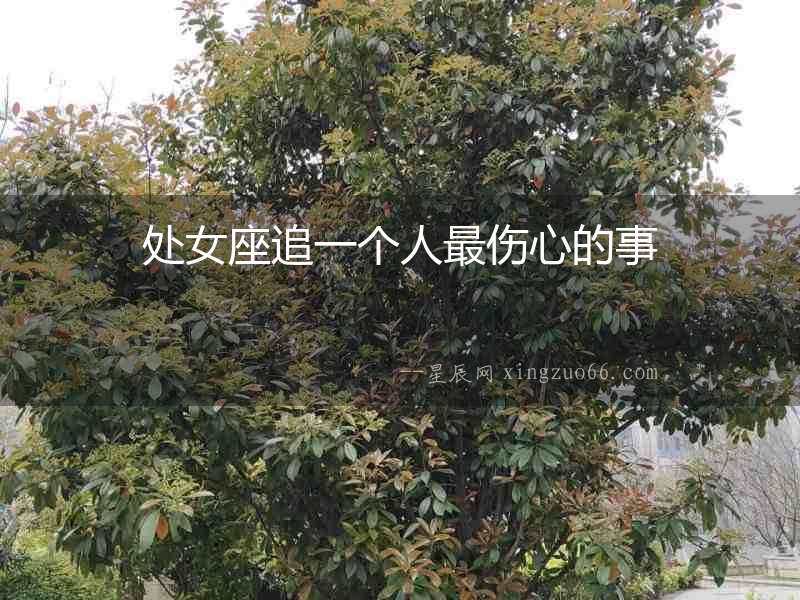 處女座追一個人最傷心的事