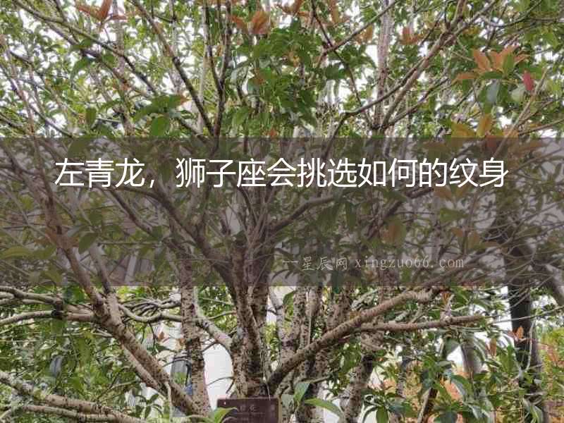 左青龍，獅子座會挑選如何的紋身