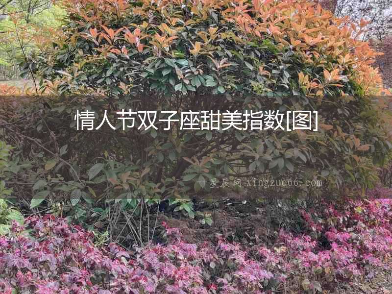 情人節雙子座甜美指數[圖]