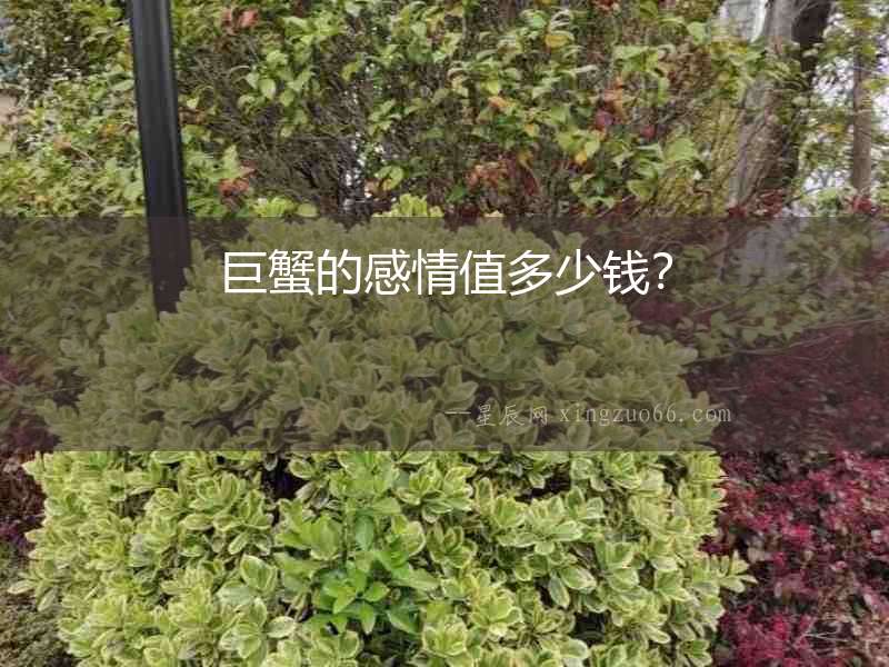 巨蟹的感情值多少錢？