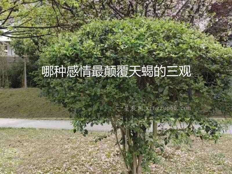 哪種感情最顛覆天蝎的三觀