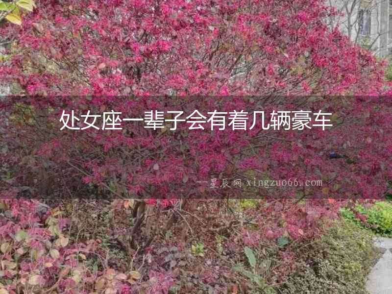 處女座一輩子會有著幾輛豪車