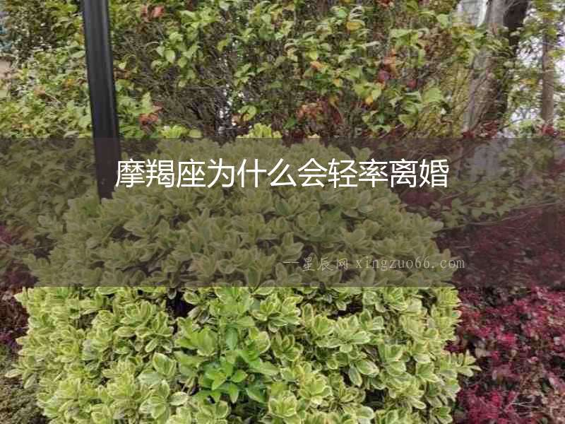 摩羯座為什么會輕率離婚