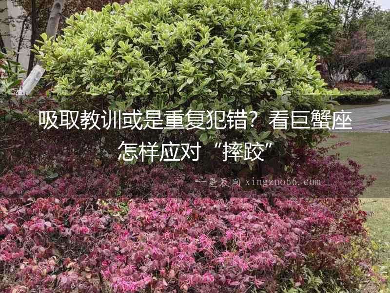 吸取教訓或是重復犯錯？看巨蟹座怎樣應對“摔跤”
