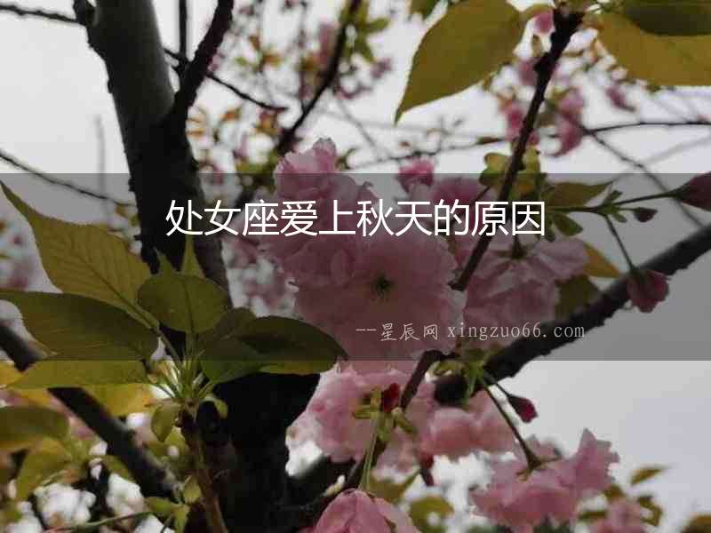 處女座愛上秋天的原因