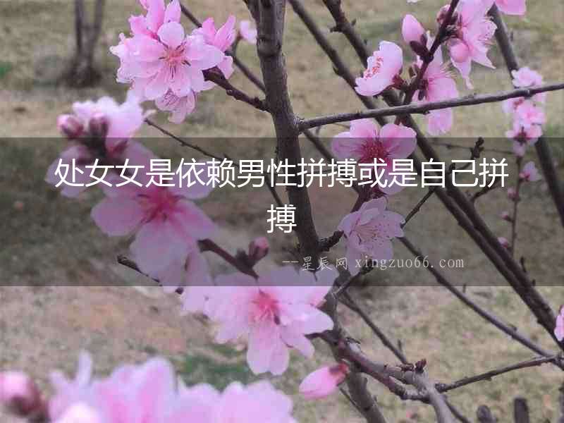 處女女是依賴男性拼搏或是自己拼搏