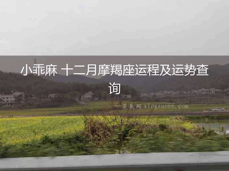 小乖麻 十二月摩羯座運(yùn)程及運(yùn)勢(shì)查詢