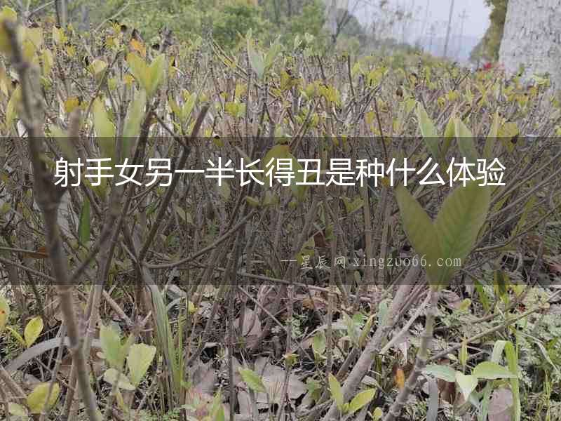 射手女另一半長得丑是種什么體驗(yàn)