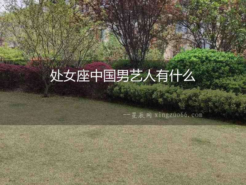 處女座中國男藝人有什么