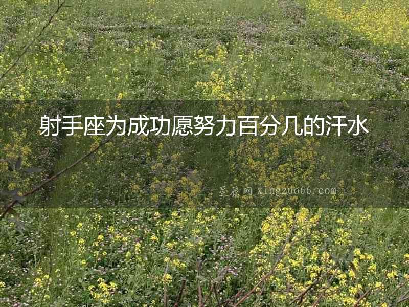 射手座為成功愿努力百分幾的汗水