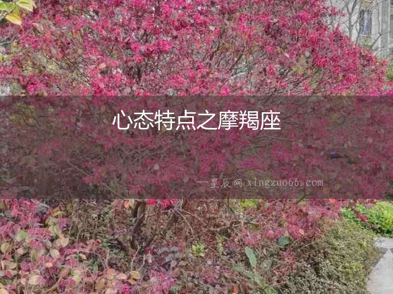 心態特點之摩羯座