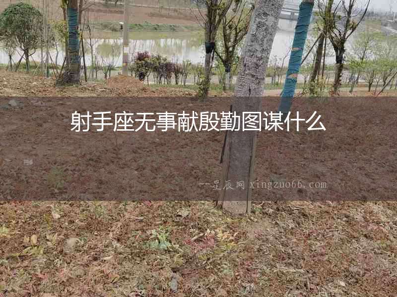 射手座無事獻殷勤圖謀什么