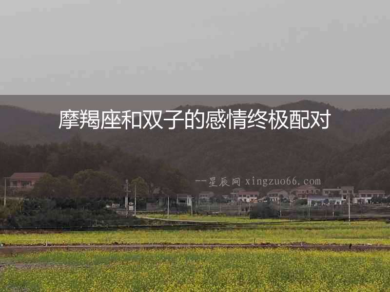 摩羯座和雙子的感情終極配對
