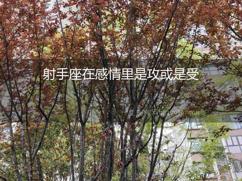 射手座在感情里是攻或是受