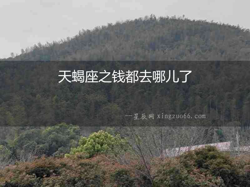 天蝎座之錢都去哪兒了