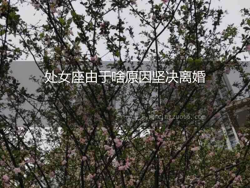 處女座由于啥原因堅決離婚