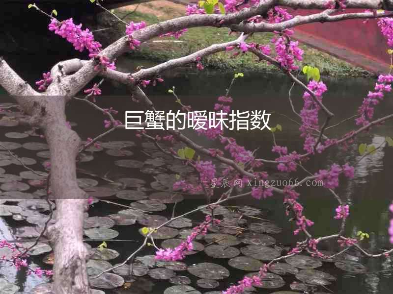 巨蟹的曖昧指數