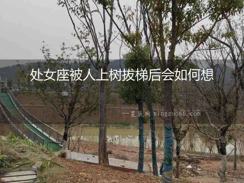 處女座被人上樹拔梯后會如何想