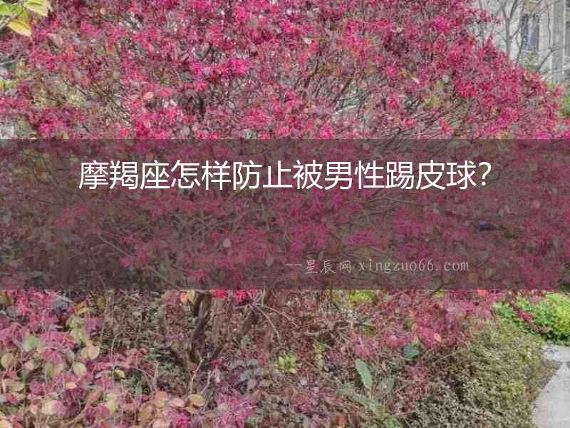 摩羯座怎樣防止被男性踢皮球？