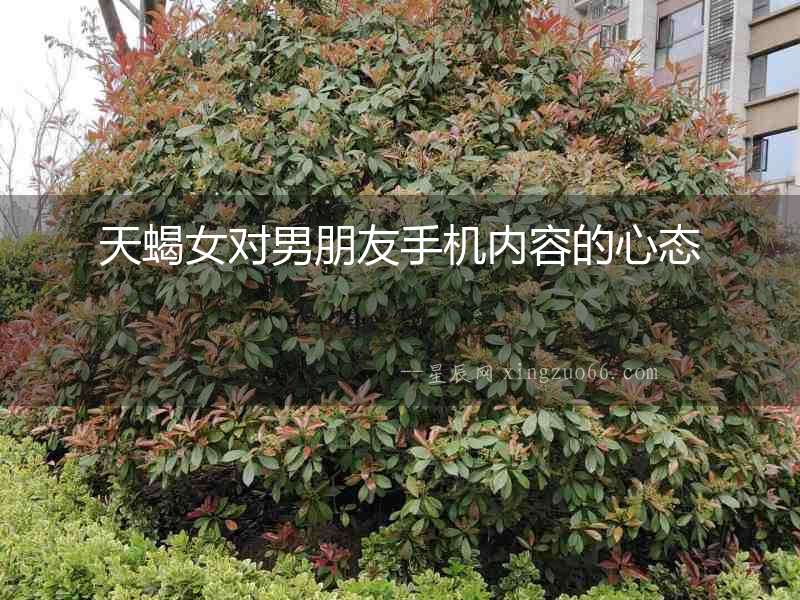 天蝎女對男朋友手機內(nèi)容的心態(tài)