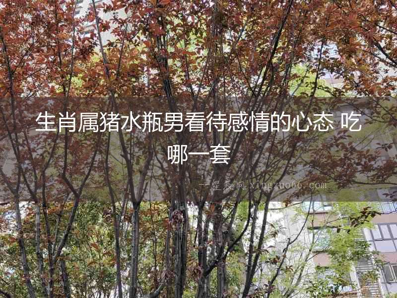 生肖屬豬水瓶男看待感情的心態 吃哪一套