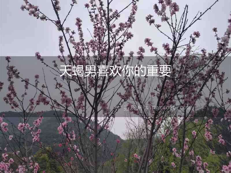 天蝎男喜歡你的重要