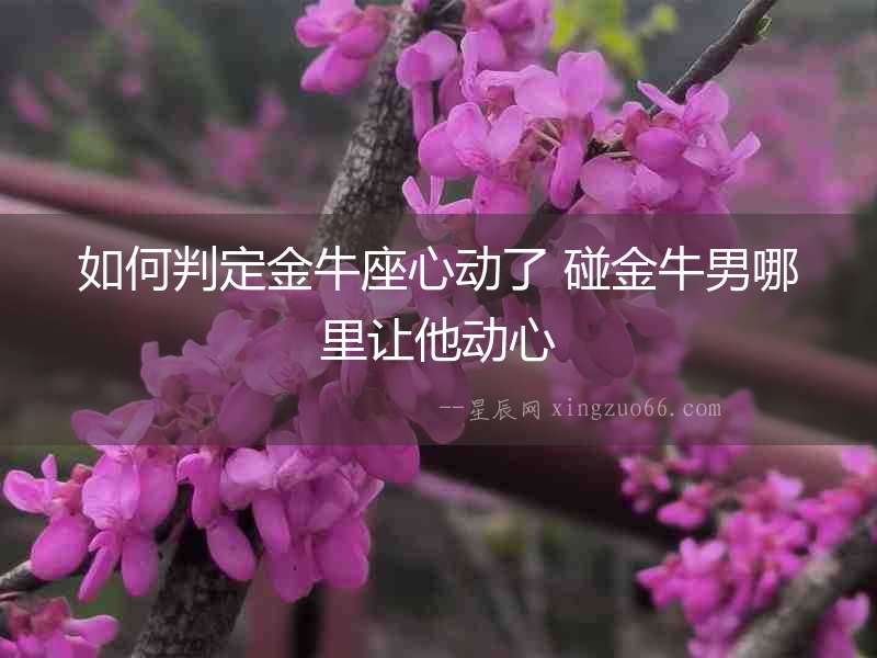 如何判定金牛座心動了 碰金牛男哪里讓他動心
