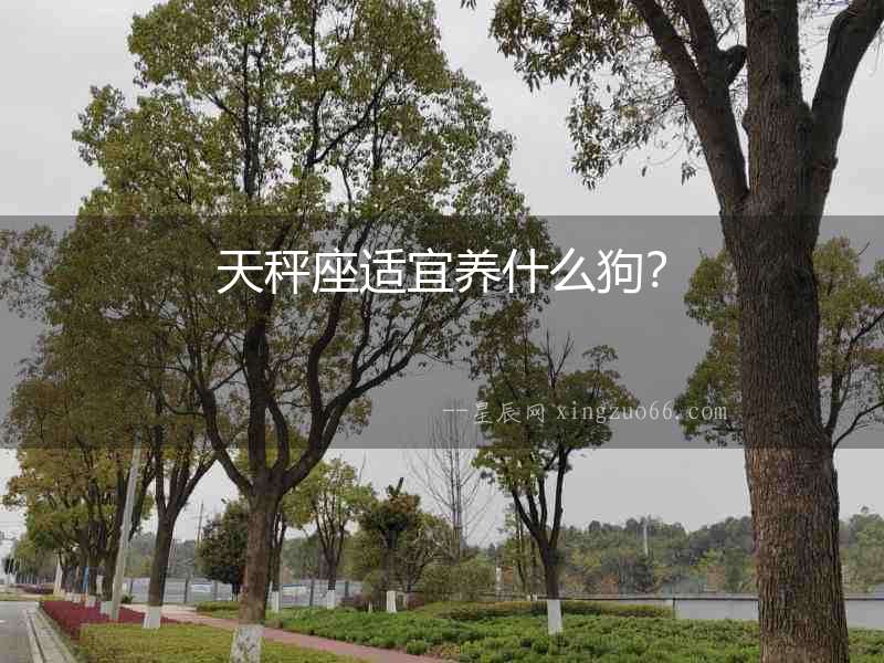 天秤座適宜養(yǎng)什么狗？