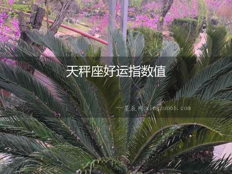 天秤座好運指數(shù)值