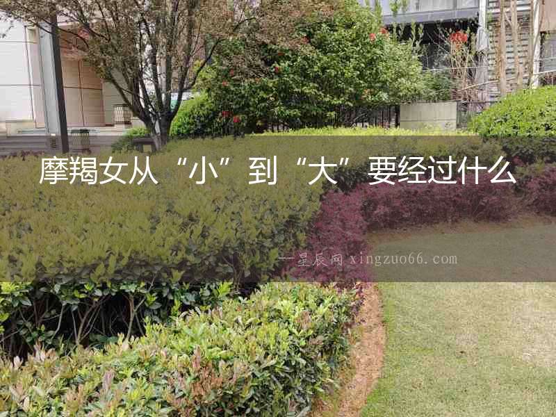 摩羯女從“小”到“大”要經(jīng)過什么