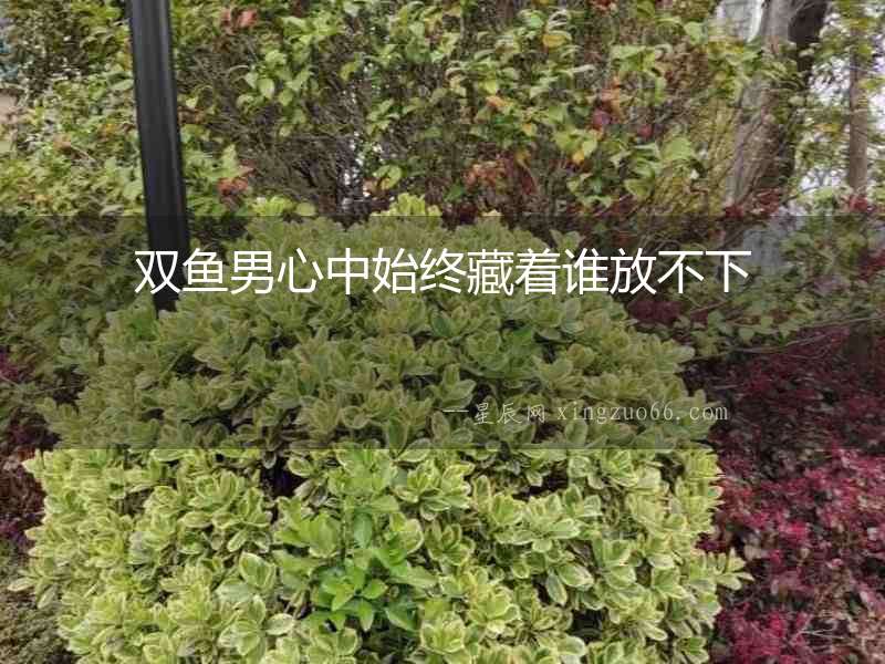 雙魚男心中始終藏著誰放不下