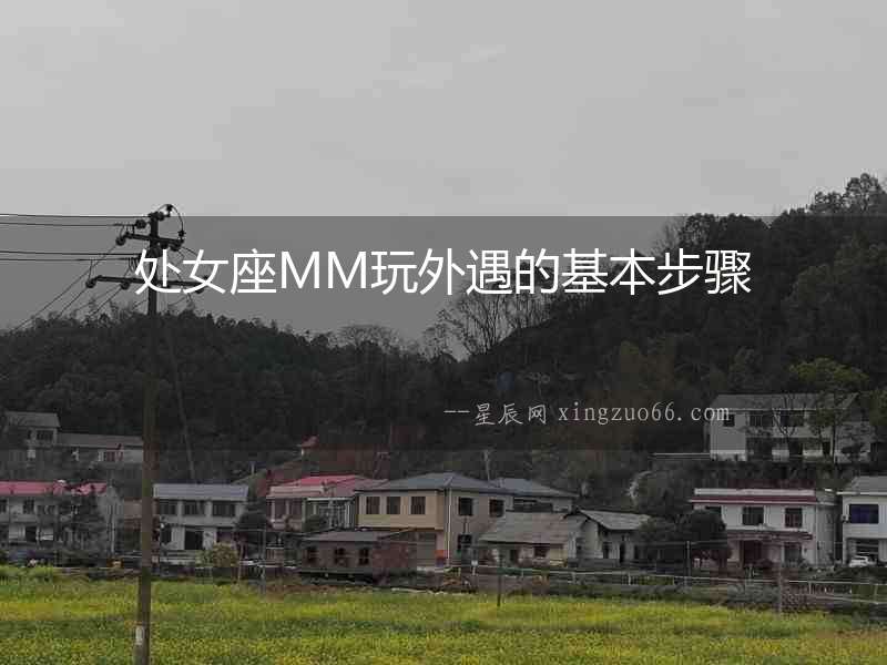 處女座MM玩外遇的基本步驟