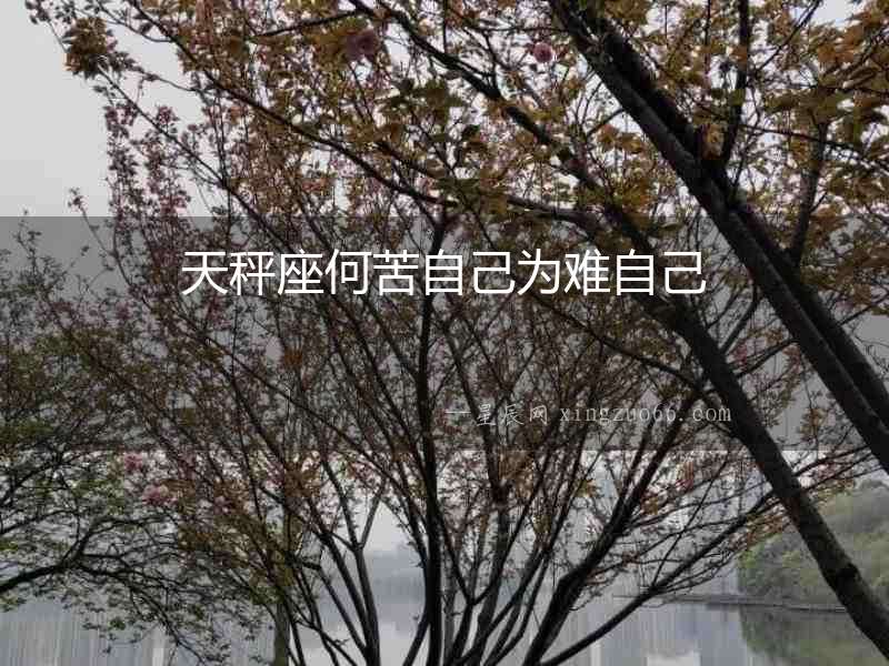 天秤座何苦自己為難自己