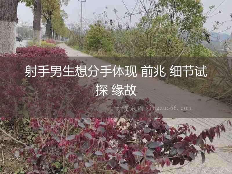 射手男生想分手體現(xiàn) 前兆 細(xì)節(jié)試探 緣故