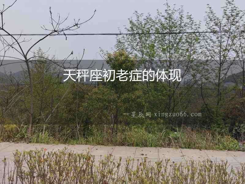 天秤座初老癥的體現