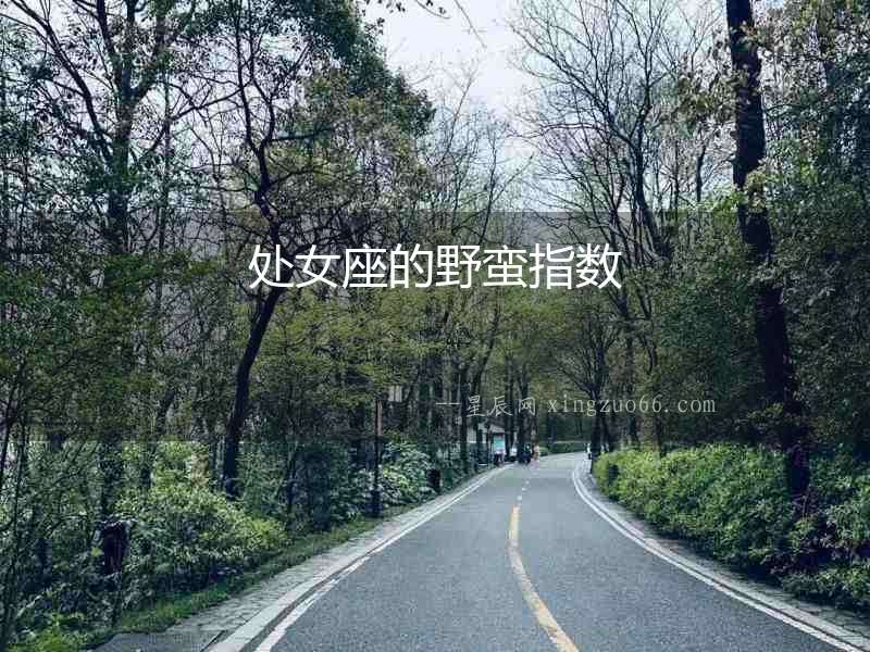 處女座的野蠻指數