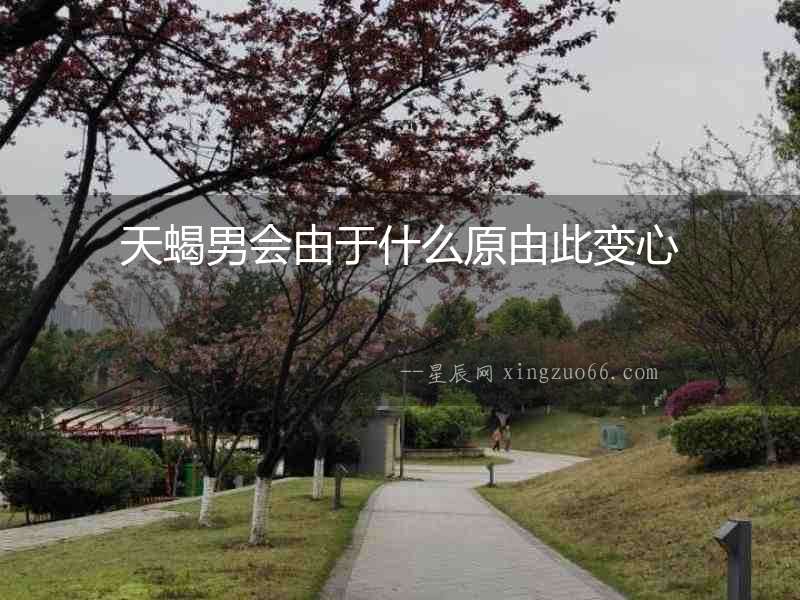 天蝎男會由于什么原由此變心