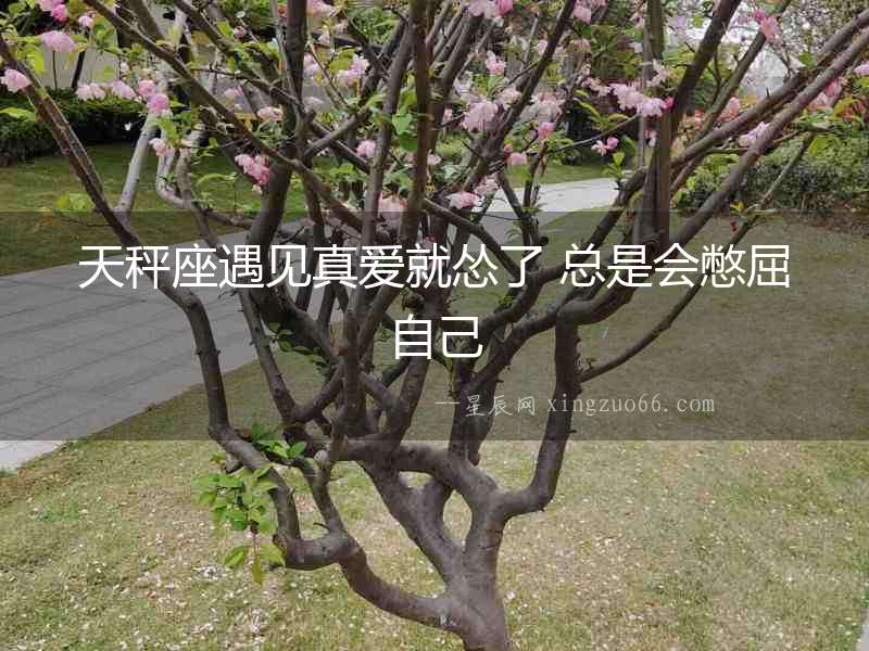 天秤座遇見真愛就慫了 總是會憋屈自己