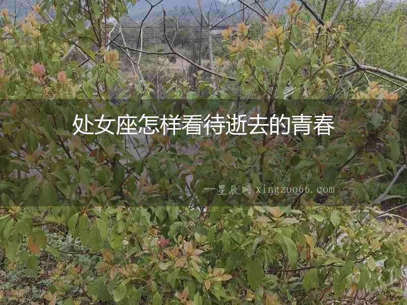 處女座怎樣看待逝去的青春