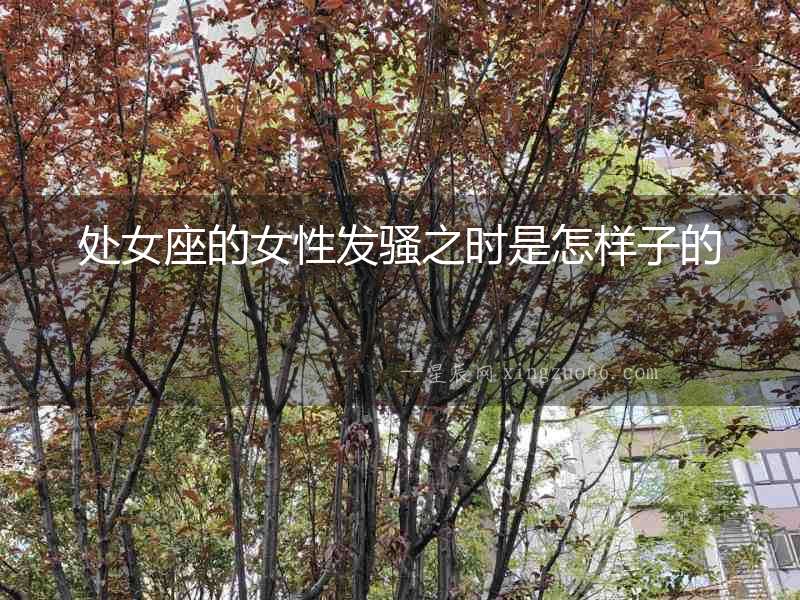 處女座的女性發(fā)騷之時是怎樣子的