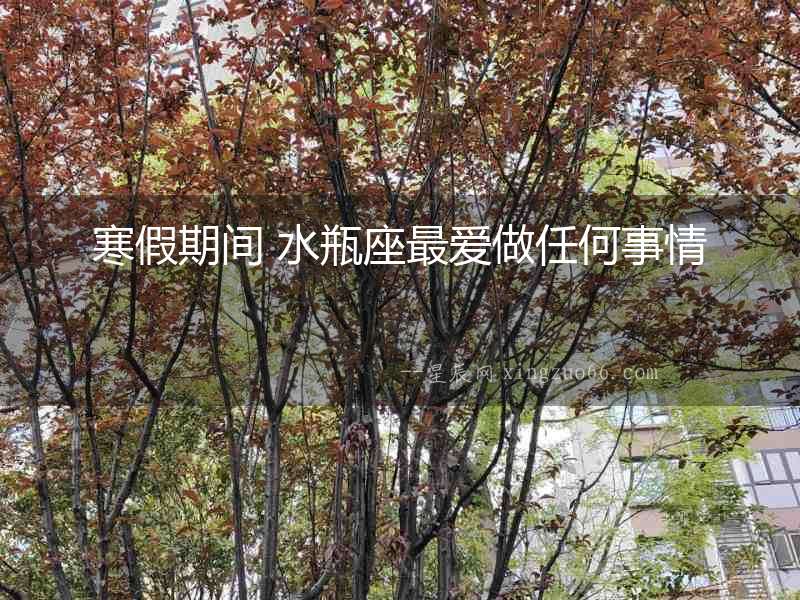 寒假期間 水瓶座最愛做任何事情