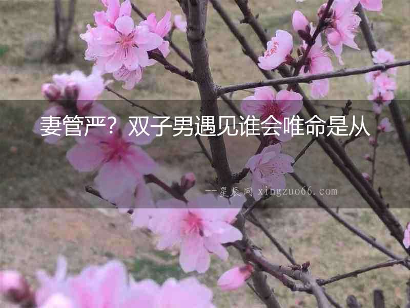 妻管嚴(yán)？雙子男遇見誰會(huì)唯命是從
