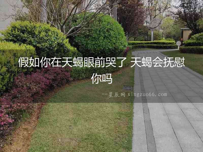 假如你在天蝎眼前哭了 天蝎會撫慰你嗎
