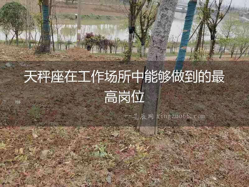 天秤座在工作場所中能夠做到的最高崗位