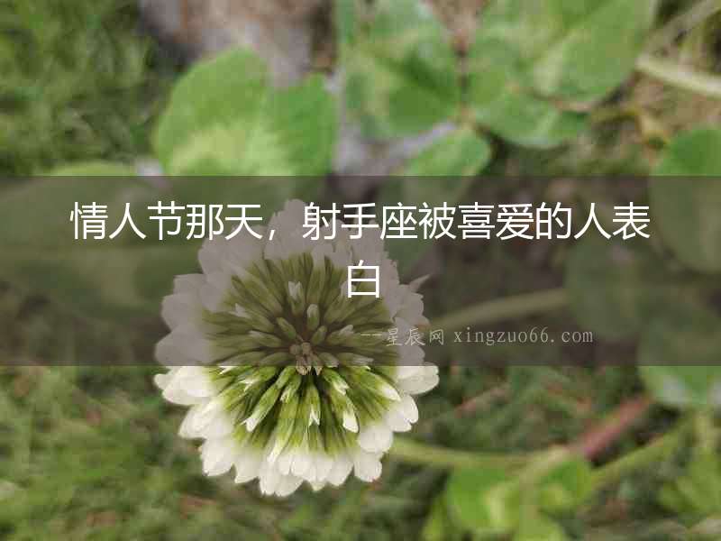 情人節(jié)那天，射手座被喜愛的人表白