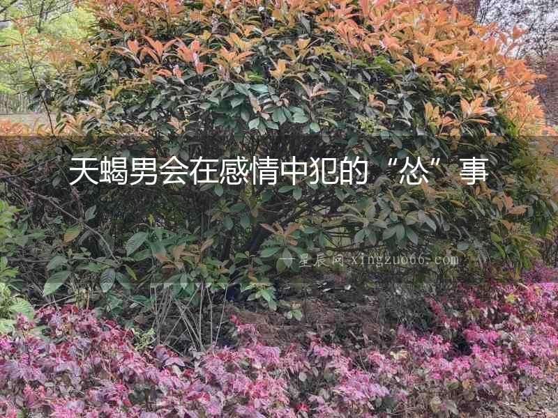 天蝎男會在感情中犯的“慫”事