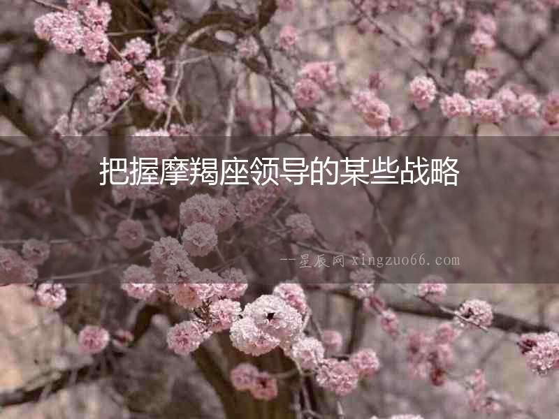 把握摩羯座領導的某些戰略